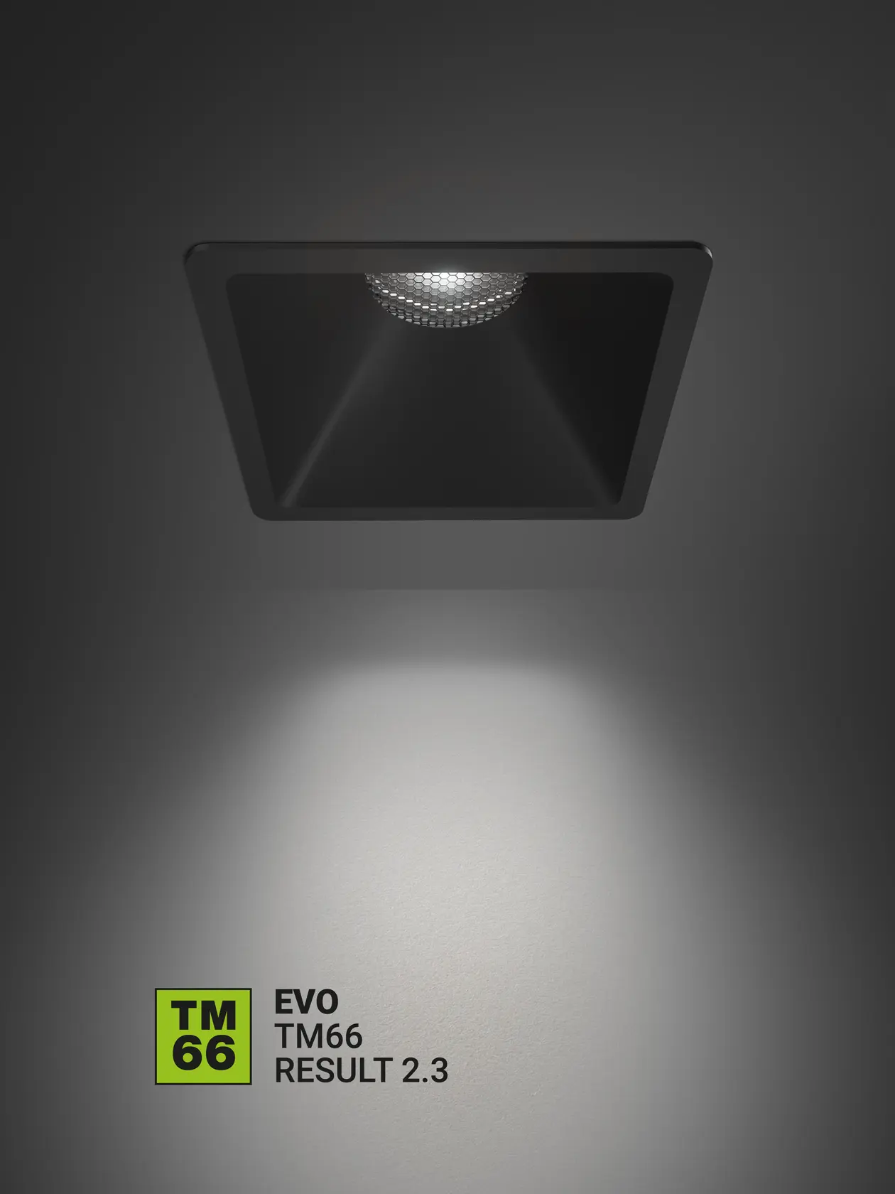 sost-6-linea-light-evo